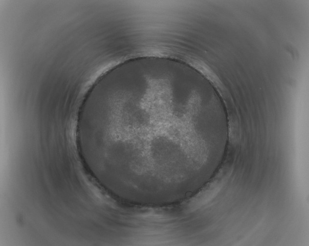 X0000114110434200910191706