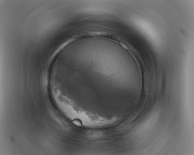 X0000114110435200910191706