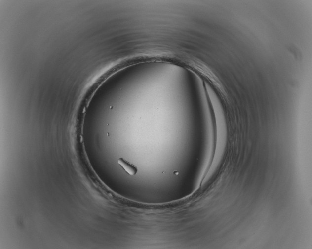 X0000114110436200910191706