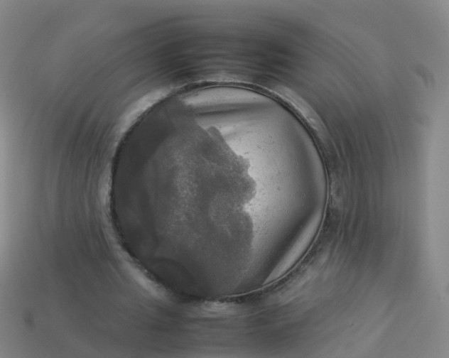 X0000114110437200910191706