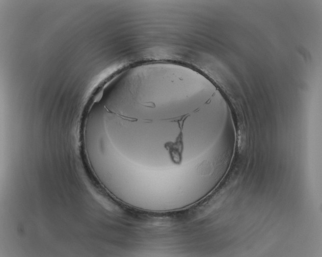 X0000114110438200910191706