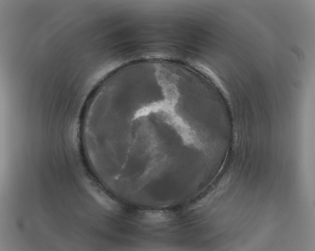 X0000114110439200910191706