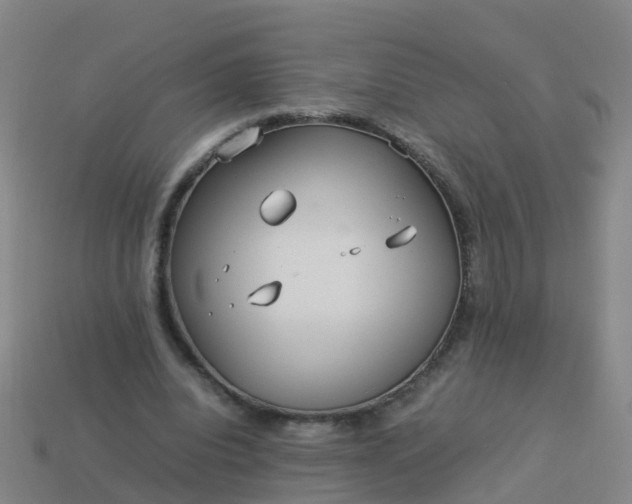 X0000114110440200910191706