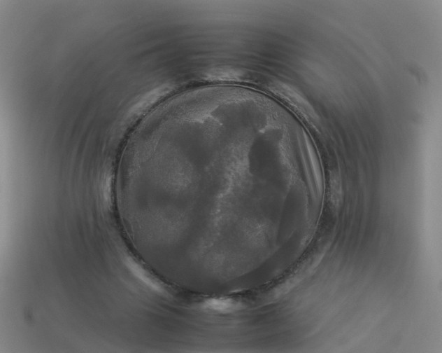 X0000114110441200910191706