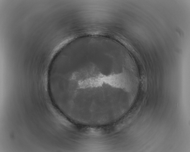 X0000114110442200910191706