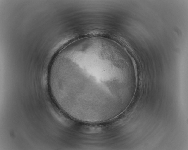 X0000114110443200910191706