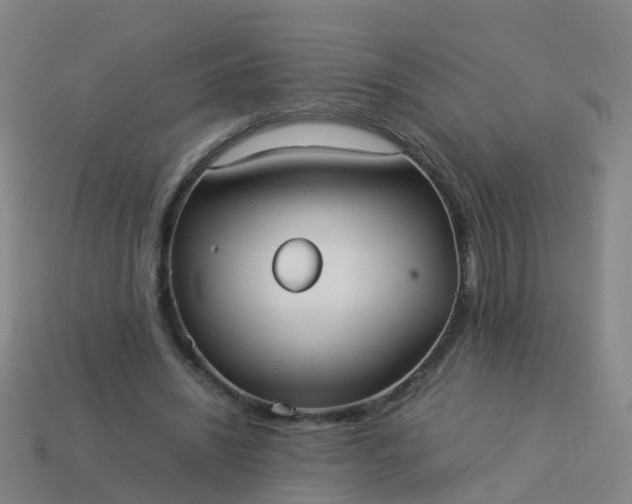 X0000114110444200910191706