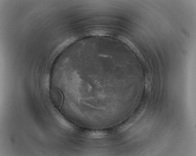 X0000114110445200910191706