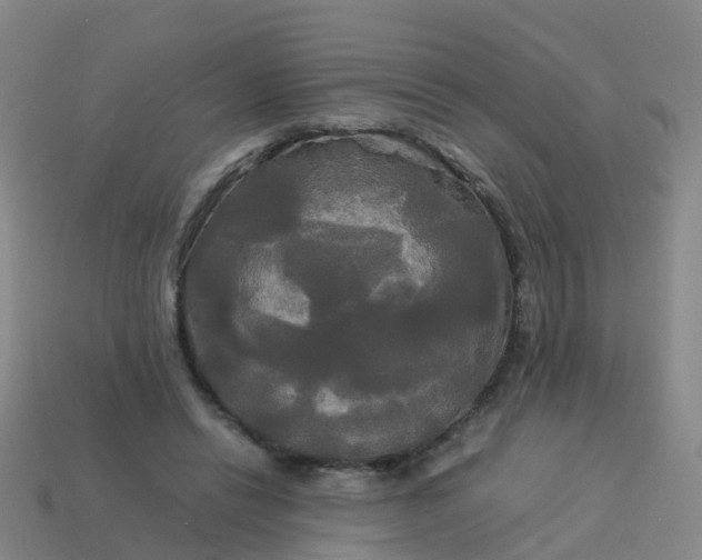 X0000114110446200910191706