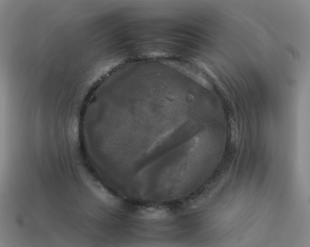 X0000114110447200910191706