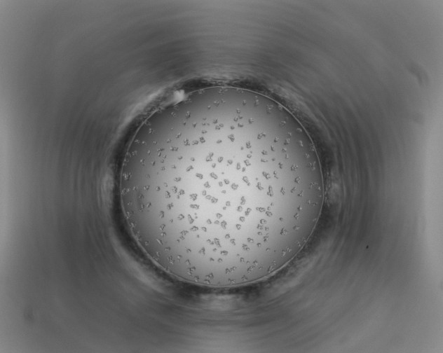 X0000114110448200910191706