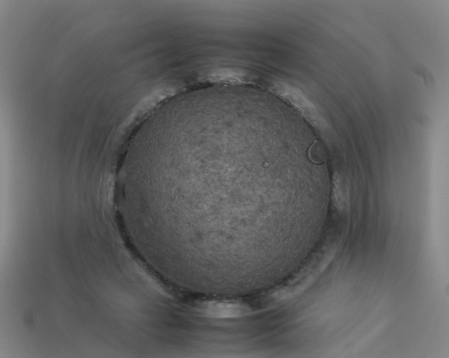 X0000114110449200910191706