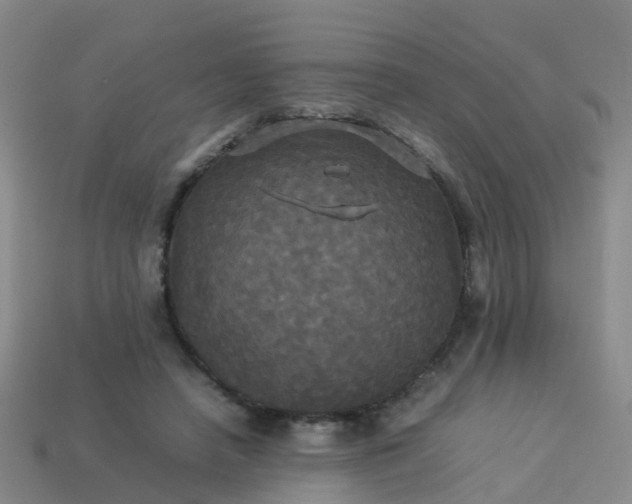 X0000114110450200910191706