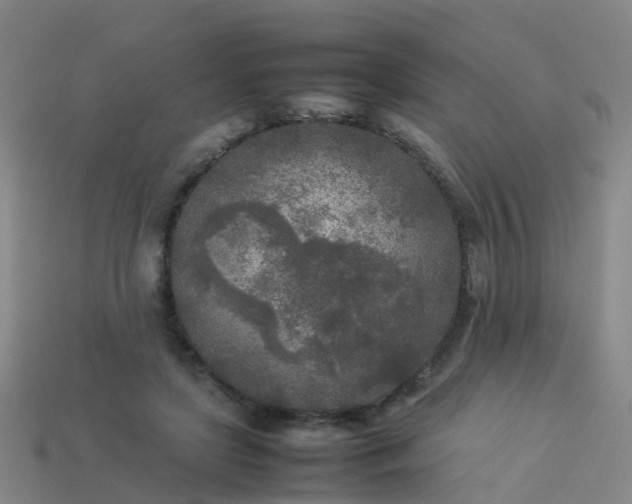 X0000114110451200910191706