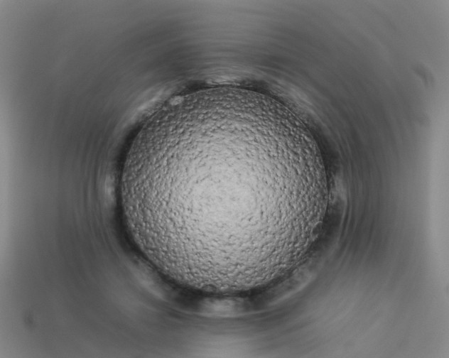 X0000114110452200910191706