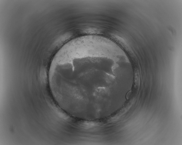 X0000114110453200910191706