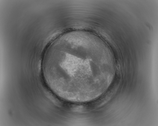 X0000114110454200910191706