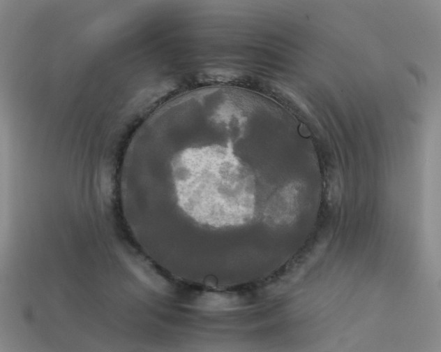 X0000114110455200910191706