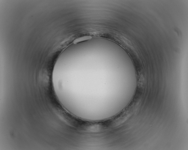 X0000114110456200910191706