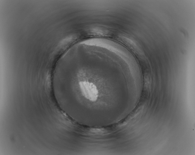 X0000114110457200910191706