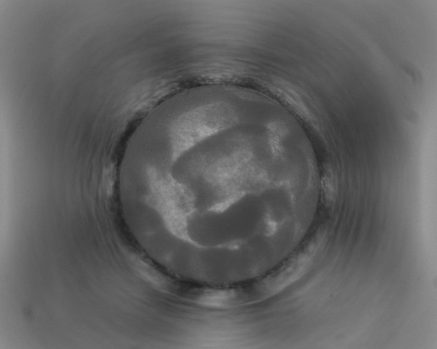 X0000114110458200910191706