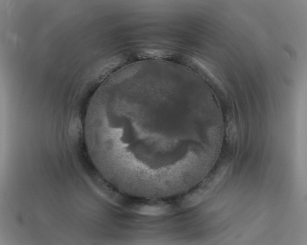 X0000114110459200910191706