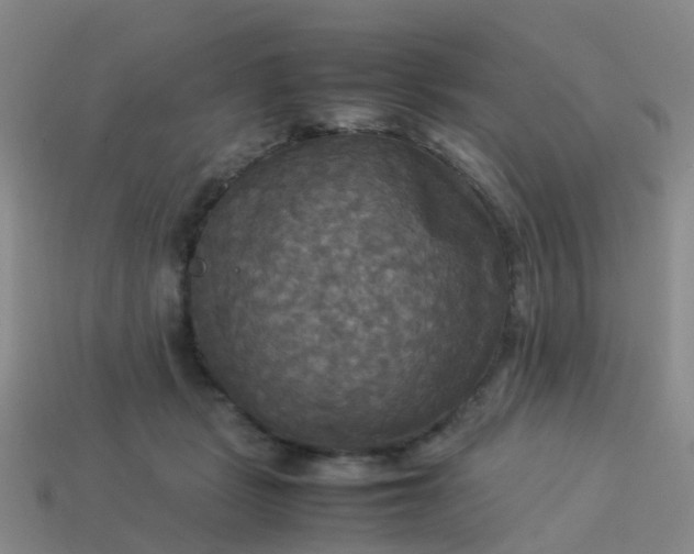 X0000114110461200910191706