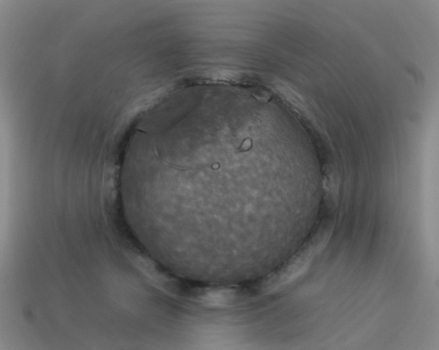 X0000114110462200910191706