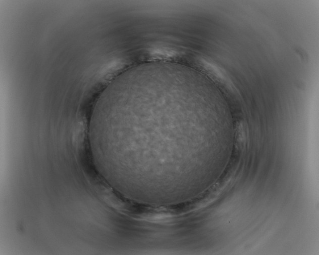 X0000114110463200910191706