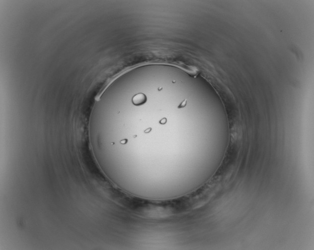 X0000114110464200910191706