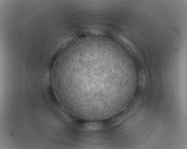 X0000114110465200910191706