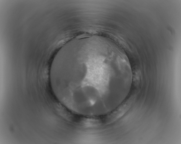 X0000114110466200910191706