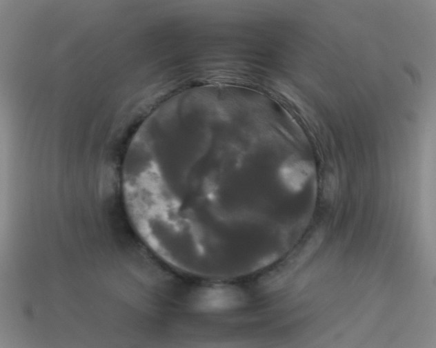 X0000114110467200910191706