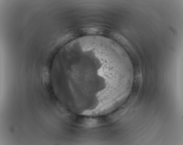 X0000114110469200910191706