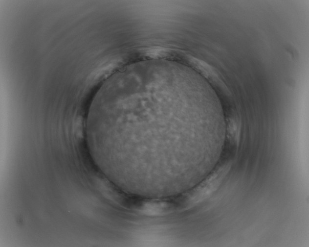 X0000114110470200910191706