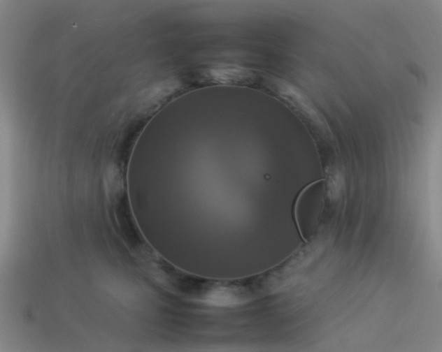 X0000114110471200910191706