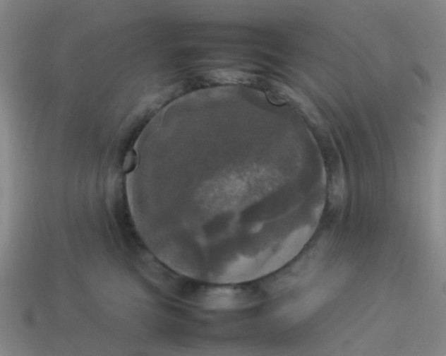 X0000114110473200910191706