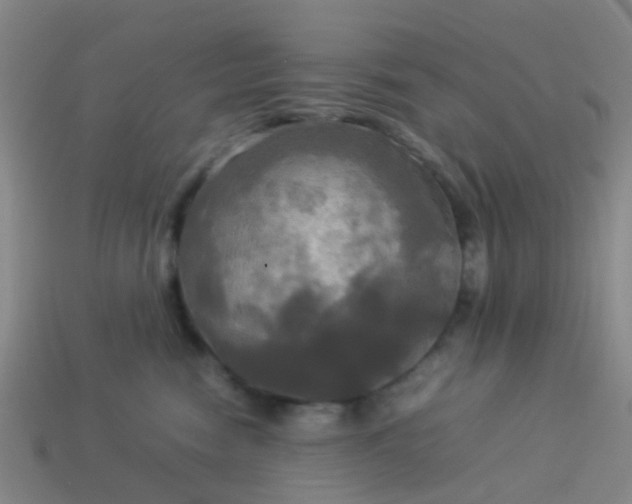 X0000114110474200910191706