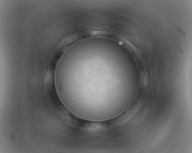 X0000114110475200910191706