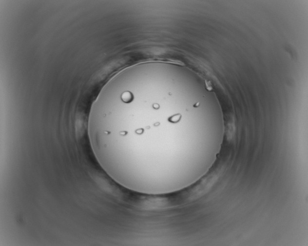 X0000114110476200910191706