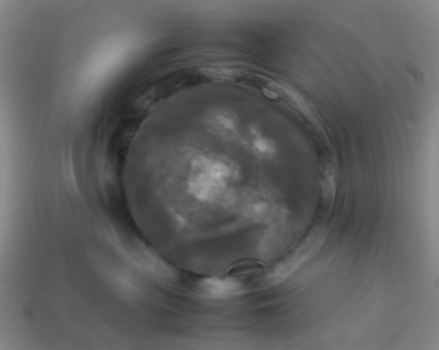 X0000114110477200910191706