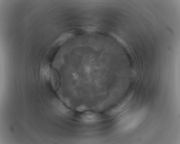 X0000114110479200910191706