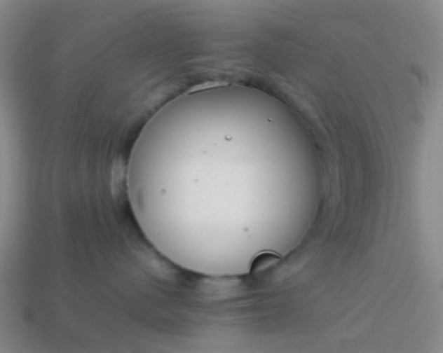 X0000114110480200910191706