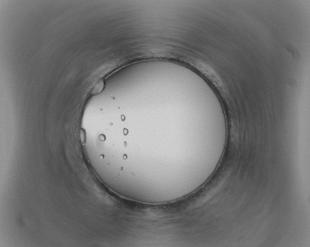 X0000114110481200910191706