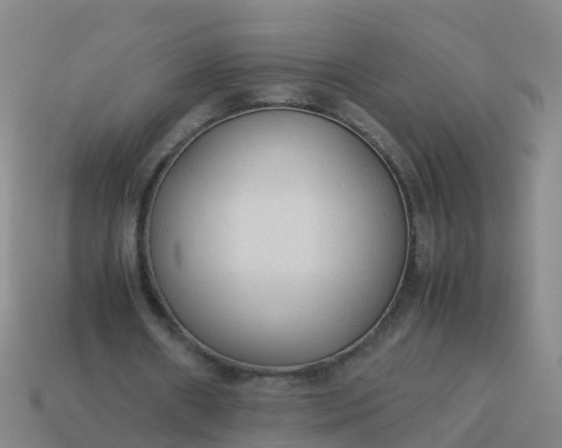 X0000114110482200910191706