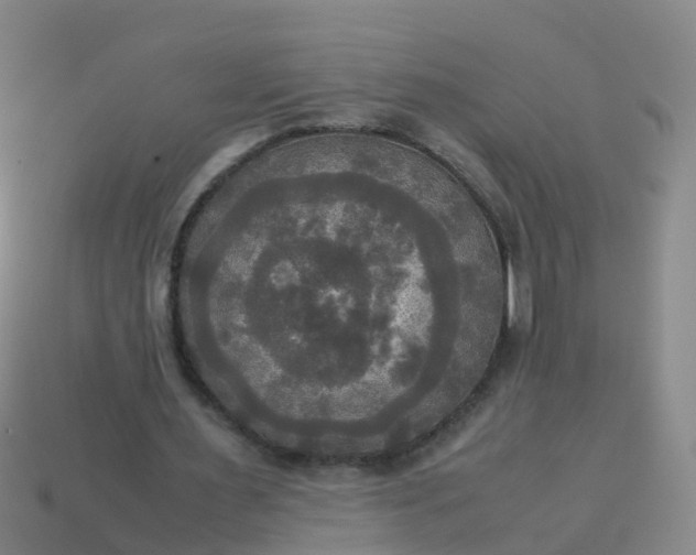 X0000114110483200910191706