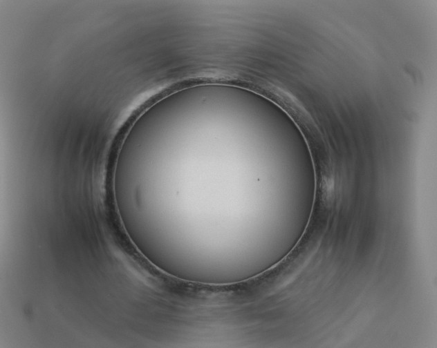 X0000114110484200910191706