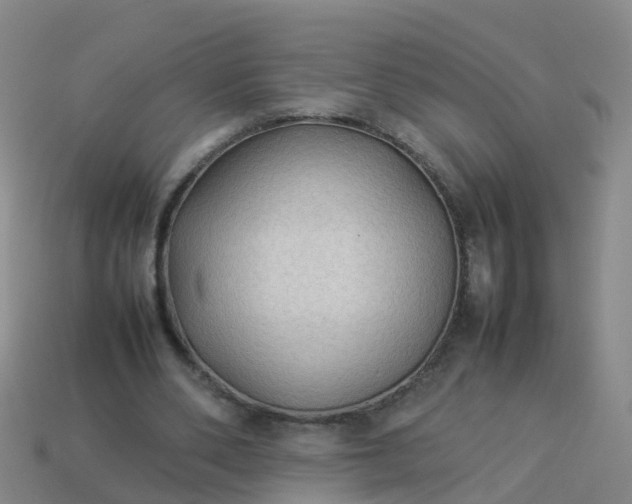 X0000114110486200910191706