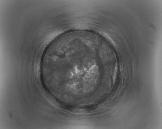 X0000114110487200910191706