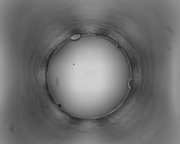 X0000114110489200910191706